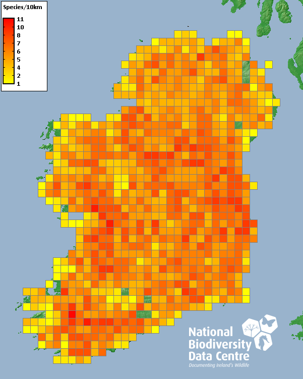 🚨 Dataset Update 🚨 The National Bat Database of Ireland has been updated. There are now 91,418 records across 11 species. The dataset contains records of bat observations received and maintained by @BatConservIre & records submitted directly to NBDC. maps.biodiversityireland.ie/Dataset/128