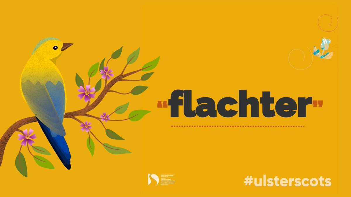 Flachter (verb): fluttering or flapping i.e. of a bird's wings. In Scots this word can also be used as a noun to describe a flicker or an ebbing flame (Dictionars o the Scots Leid) #UlsterScots #Scots