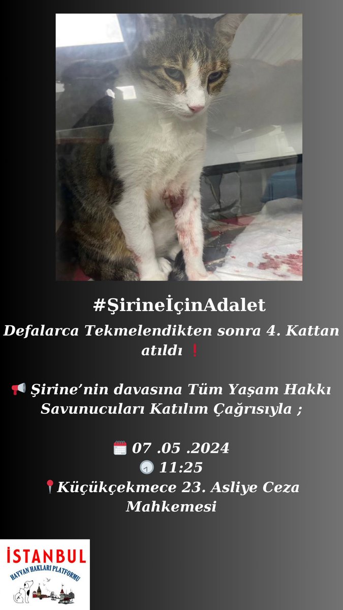 Defalarca TEKMELENDİKTEN sonra 4. KATTAN ATILDI ❗️

Şirine’nin sesi olun ❗️

Duruşma : 

📍Küçükçekmece 23. Asliye Ceza Mahkemesi 

🗓️ 07.05.2024

🕣 11 : 25 

#şirineiçinadalet