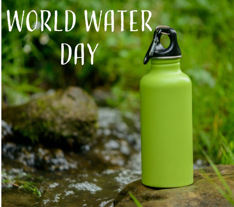 🌊 World Water Day 🌊 

Come down to our Discovery Hut at #seatonwetlands and fill up your reusable water bottle for free! #sustainablewater

#wildeastdevon #worldwaterday #freewater #refill #wildlife #nature #devon