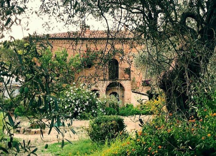 BOUTIQUE FARM HOTEL
Ogni angolo di #CasaMigliaca diventa una cornice dove il benessere si manifesta nella semplicità di una passeggiata tra il verde, accompagnata dai suoni della natura e dall’aria profumata di essenze e aromi siciliani.

👉 casamigliaca.com