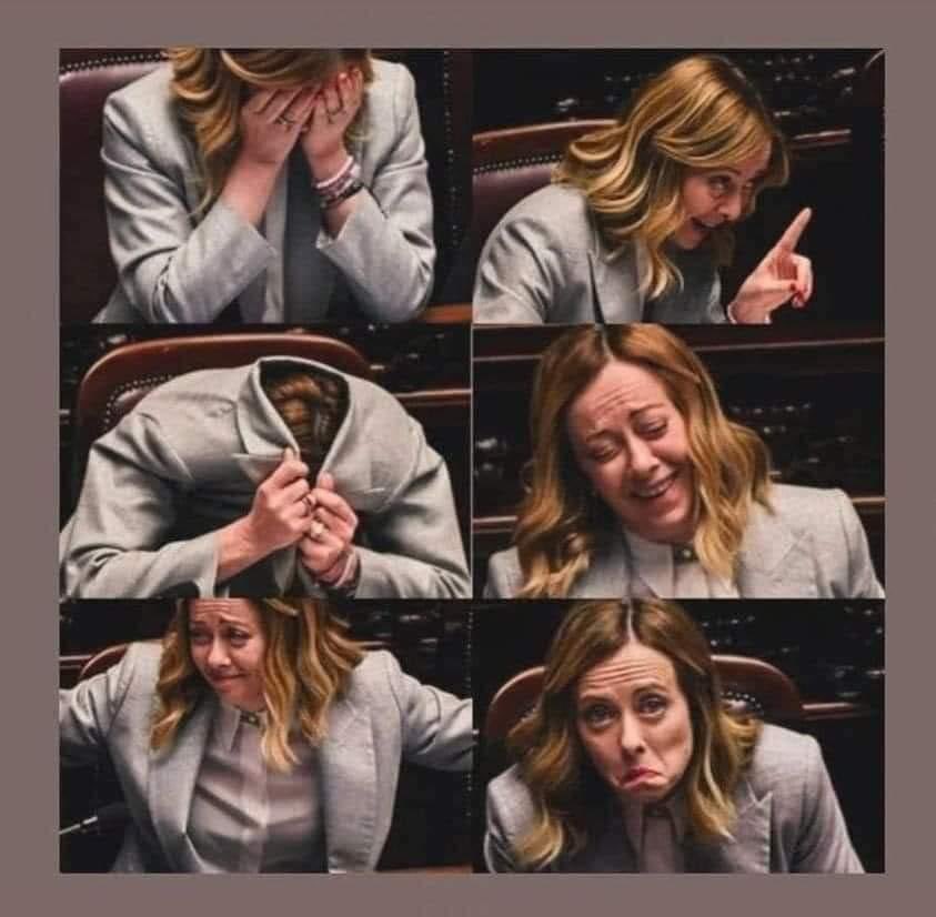 “Se un clown si trasferisce in un palazzo, non diventa il re, è il palazzo che diventa un circo”.
           
Proverbio turco