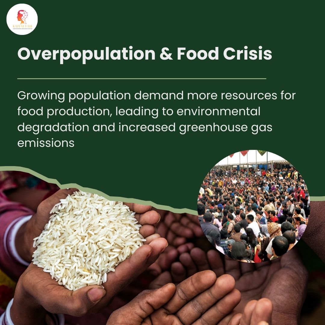KaivalyamF's tweet image. Overpopulation &amp;amp; Food Crisis 
Growing population demand more resources for food production, leading to environmental degradation and increased greenhouse gas emissions..
#overpopulationsolution #foodcrisis #kaivalyamfoundation