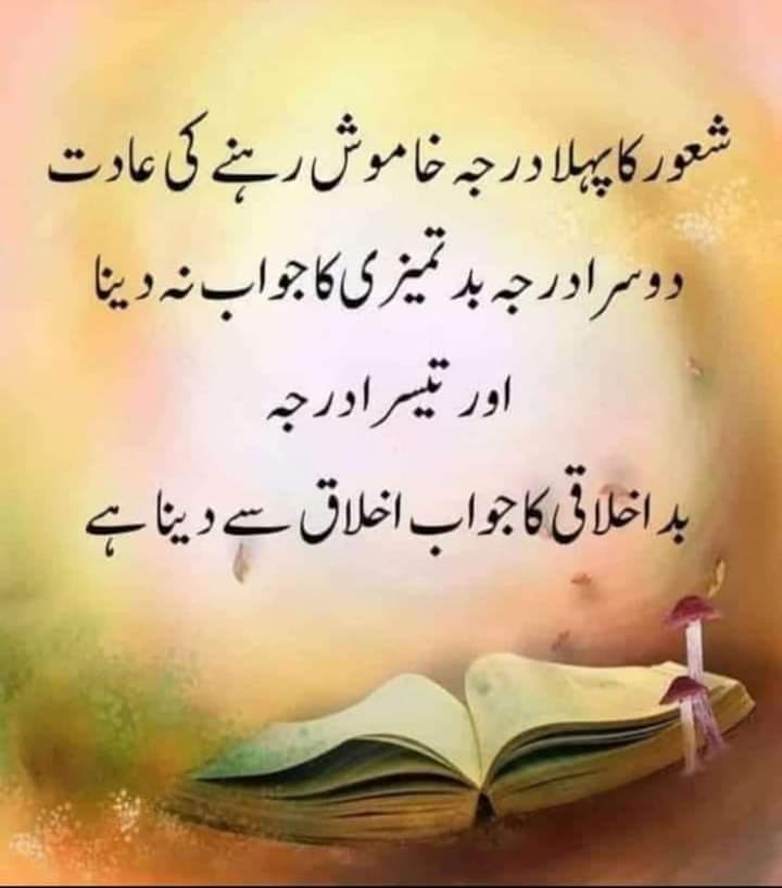💥شعور کاپہلا درجہ
خاموش رہنے کی عادت

💥دوسرا درجہ
بدتمیزی کا جواب نہ دینا

💥اور تیسرا درجہ
بد اخلاقی  کا  جواب اخلاق سے دینا ہے

💥   💥   💥   💥    💥   💥   💥    💥

<a href="/Shufkut/">Kashaf کشف</a>