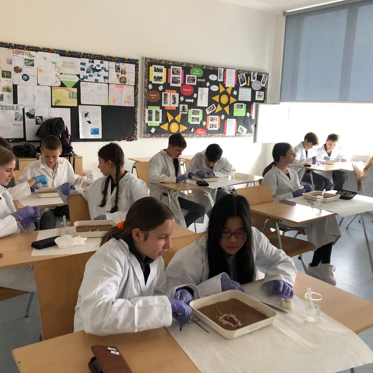 SCIS_Steam tweet media