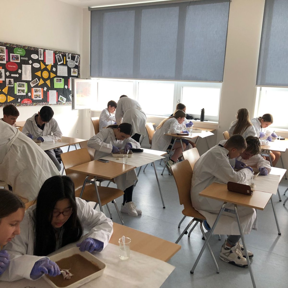 SCIS_Steam tweet media