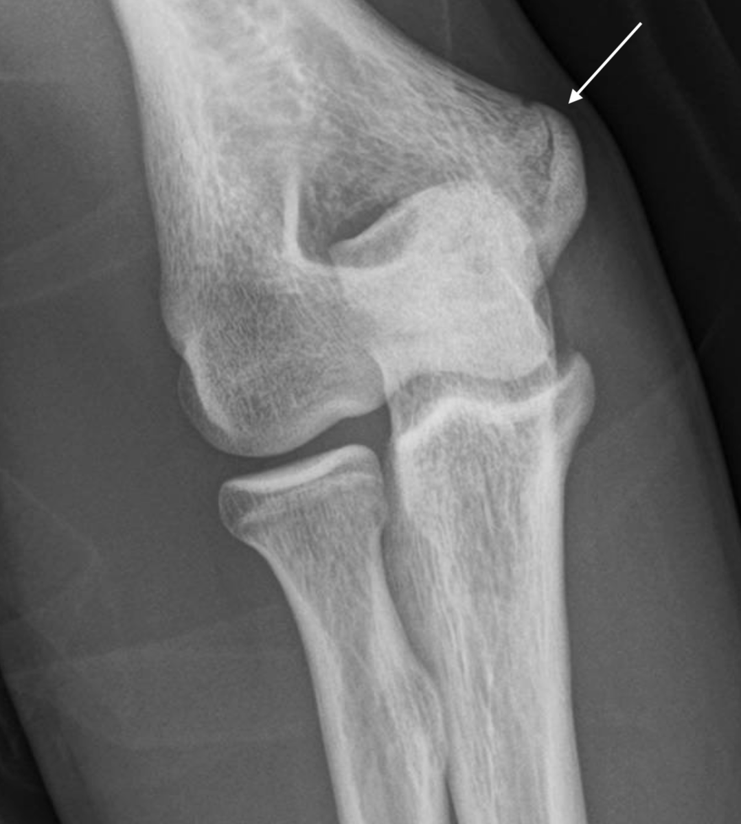 James Noake tweet media