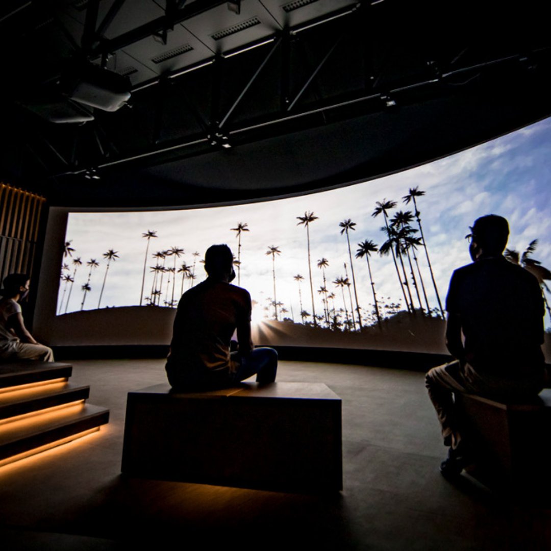 Onebox_es tweet media