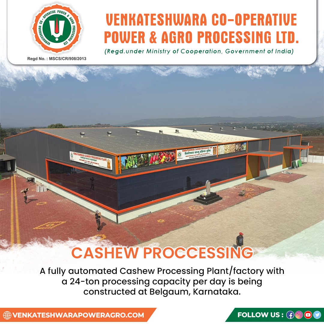 Visit to our cashew processing factory at Belgaum, Karnataka to witness several stages from harvesting to packaging
#venkateshwaracooperative #powerandagroprocessing #sahakarsesamridhi #karnataka #cashewprocessing #harvesttopackage #sundriedcashews #cashewshelling #manualshelling