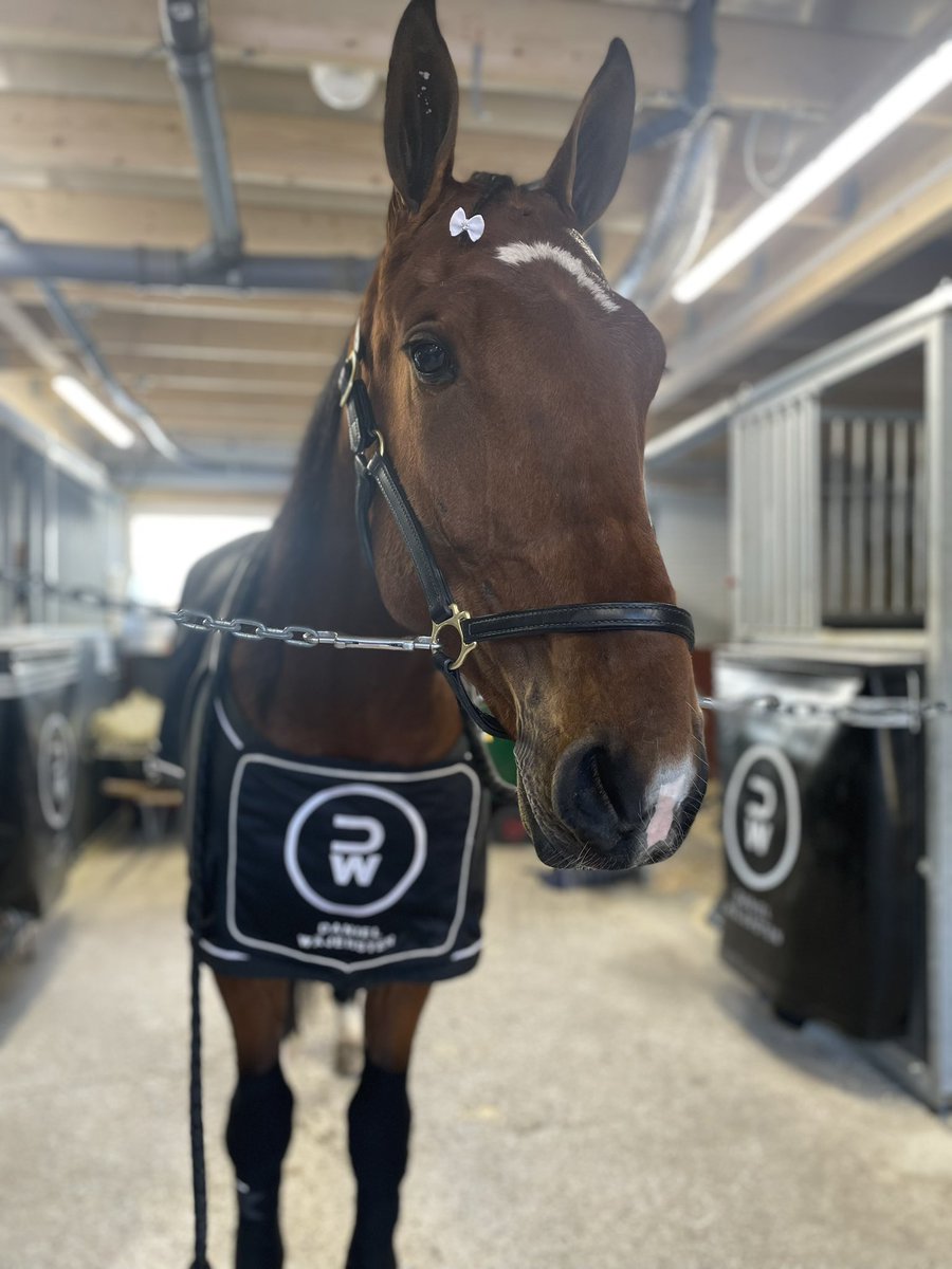 Stall Daniel Wäjersten tweet media