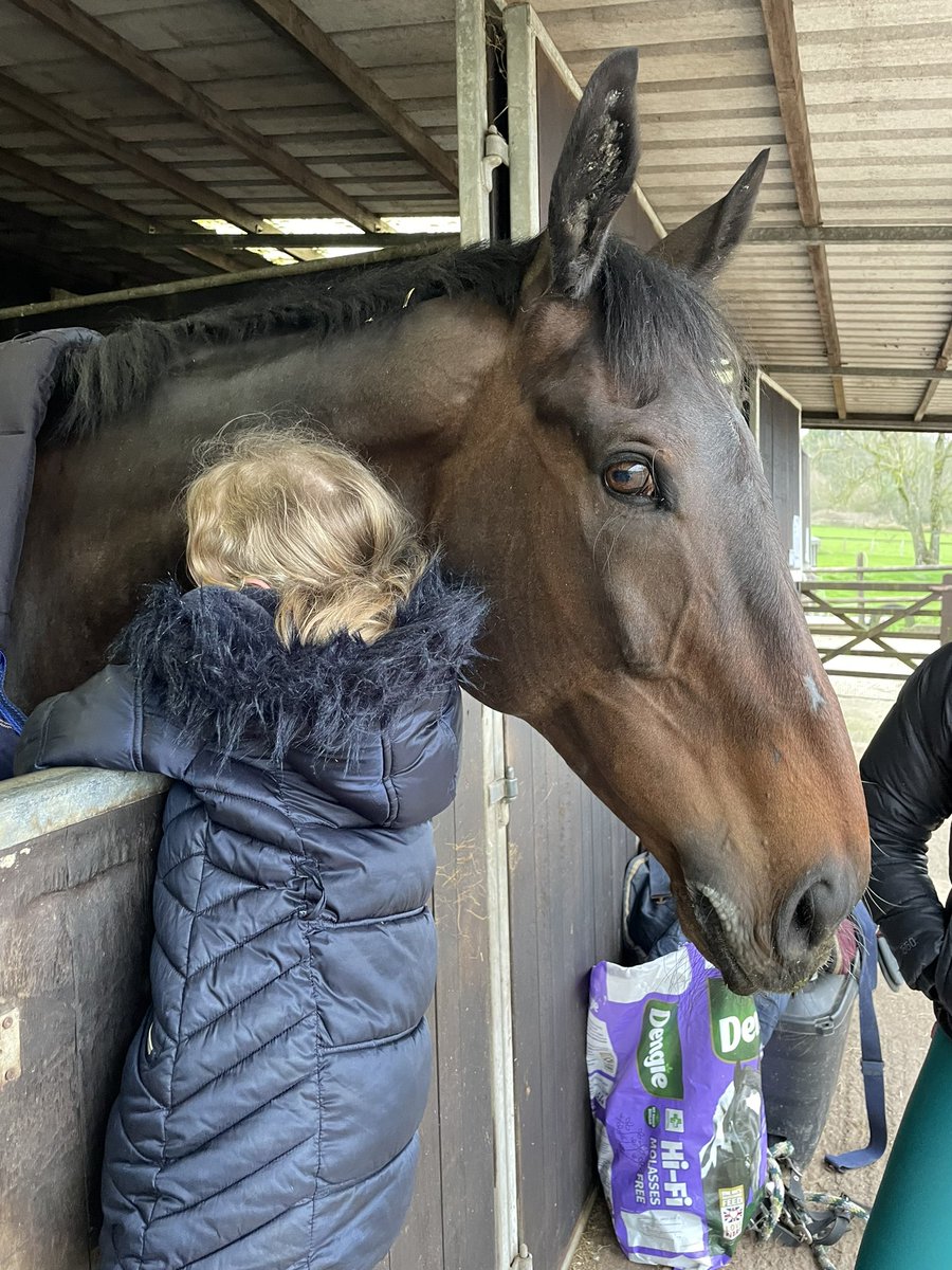 WELCOME HOME LALOR!! It was a big day for us yesterday, 1035 days after he left we were able to welcome our Grade 1 hero home for his retirement 🥰 We are so grateful to Mr Staddon & @PFNicholls for returning him back to where he means the most 💙 #Lalor #WelcomeHome
