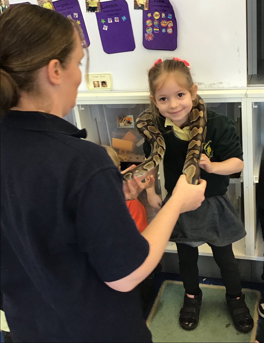 BroomwoodSchool's tweet image. Nursery had some special visitors to finish off our animal topic! @AnimalsTakeOver 🕷️🦉🐍🐸🐀🐇