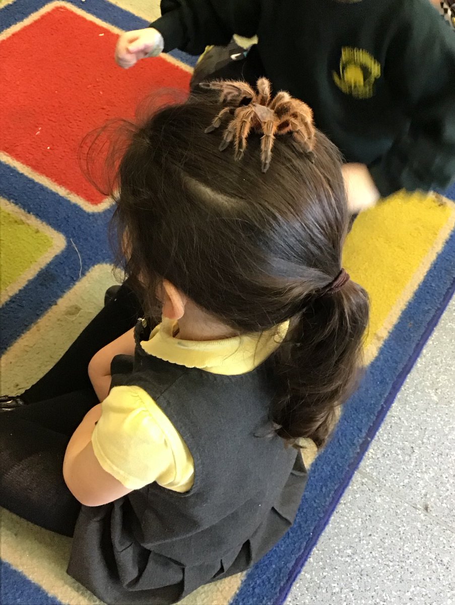 Nursery had some special visitors to finish off our animal topic! @AnimalsTakeOver 🕷️🦉🐍🐸🐀🐇