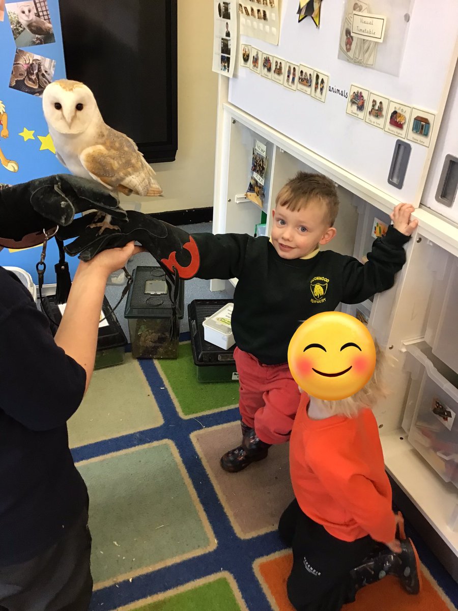 BroomwoodSchool's tweet image. Nursery had some special visitors to finish off our animal topic! @AnimalsTakeOver 🕷️🦉🐍🐸🐀🐇