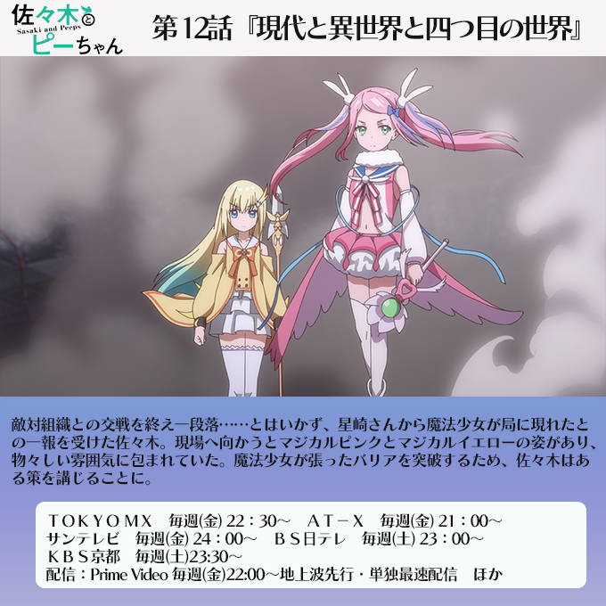 🕊️―――― あと30分で 👔放送開始👔 ――――🕊️―――― 佐々木とピーちゃん