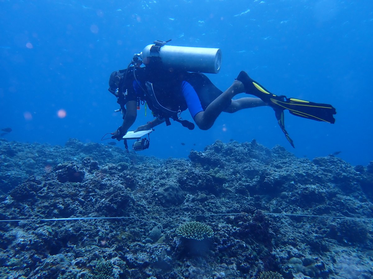 More photo highlights of our #coralreef monitoring 2024. 🪸🪸🪸 CORDIO Director @Samoilys, and Scientists @aboud_swaleh and Joshua Rambahiniarison joined a team in the Comoros to kickstart baseline surveys for the archipelago's marine parks. On the radar: #coralbleaching