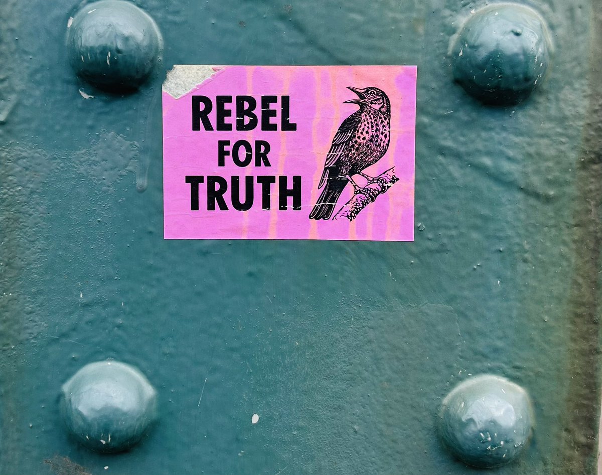 I’ve been to a lot of events that aim to build social movements for change but never anything as bloody brilliant as @CFNorthumbria yesterday in Gateshead: thoughtful, challenging, rooted in practice with huge lessons for systems & organisations in how to form your rebel alliance