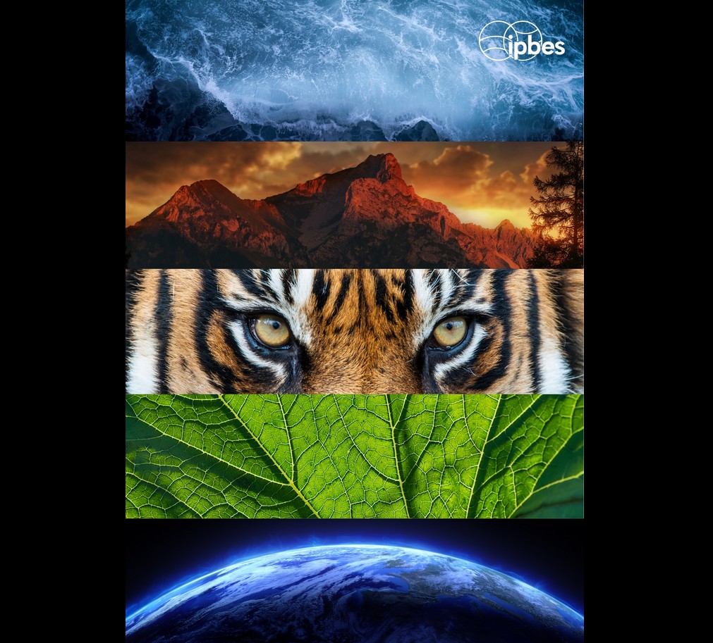 RT: #IPBES 💥There is NO Planet B💥
🌎 Mother Earth
🏔️ Ecosystems
🪸 Biodiversity
#ForNature #MotherNature
#ecology #ecosystem #climatechange #bioeconomy
- #science #knowledge #nature #society #prosperity ...
- #wisdom #strength #beauty - #onehealth ...
💚Healthy Agroecosystem 🧩