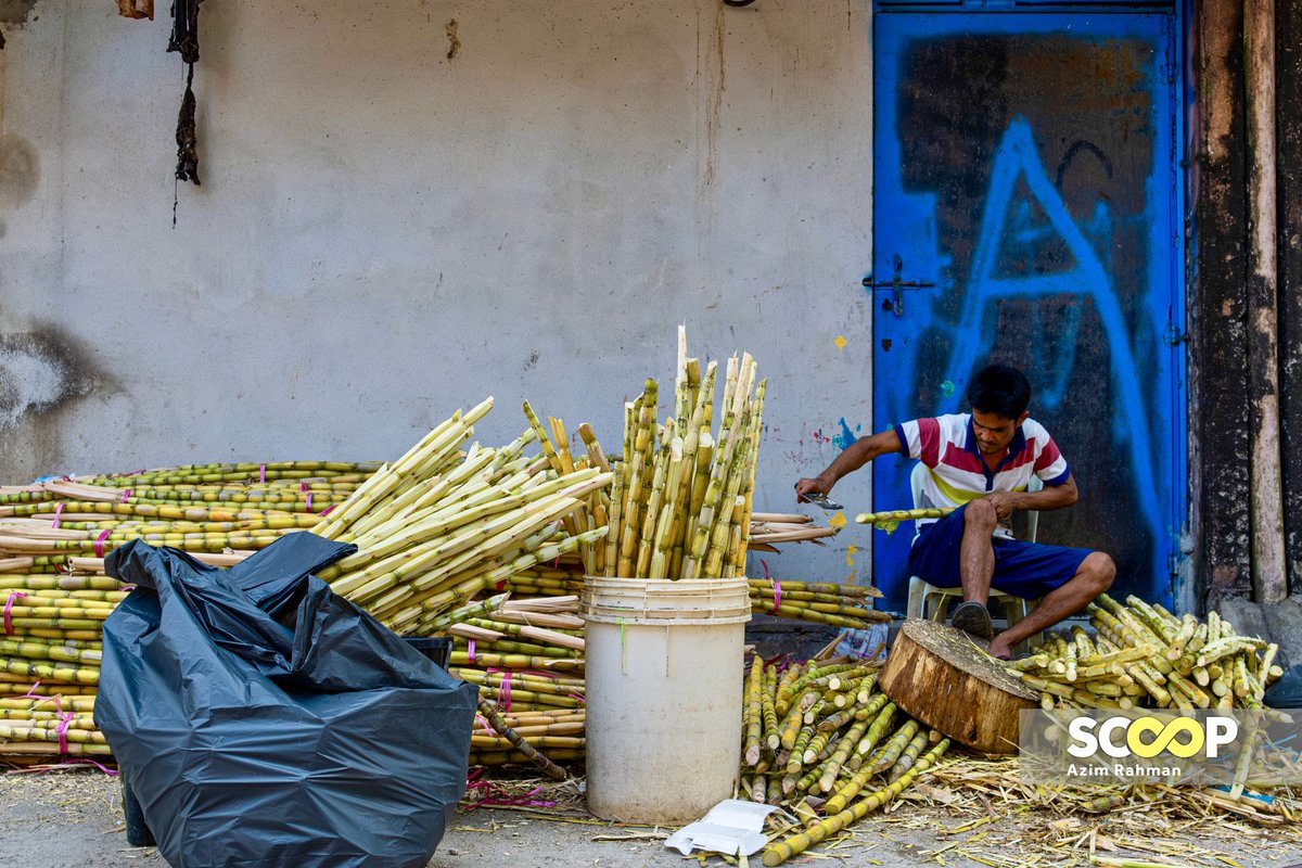 Photo of the day: Crafting sugar cane for Ramadan’s nourishing sip
  
A man peels and prepares sticks of sugar cane for sale near the Selayang wholesale market.

Sugar cane juice is a popular choice of drink for iftar during Ramadan, and hundreds of these sticks are sold to drink