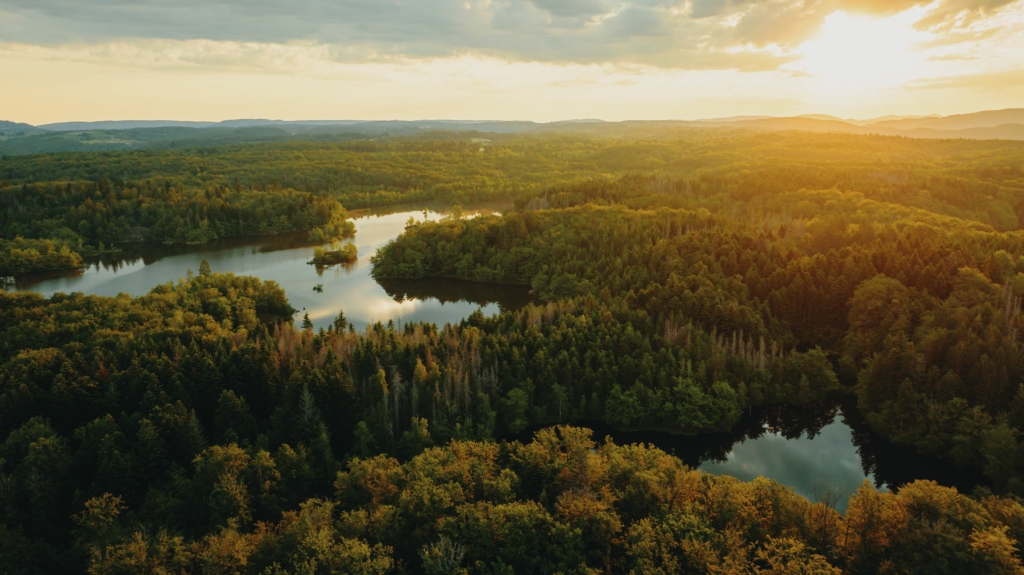 En Bourgogne-Franche-Comté vous propose une idée de séjour pour une escapade romantique le temps d'un weekend, dans les Vosges du Sud 💕
bourgognefranchecomte.com/au-grand-air/e…