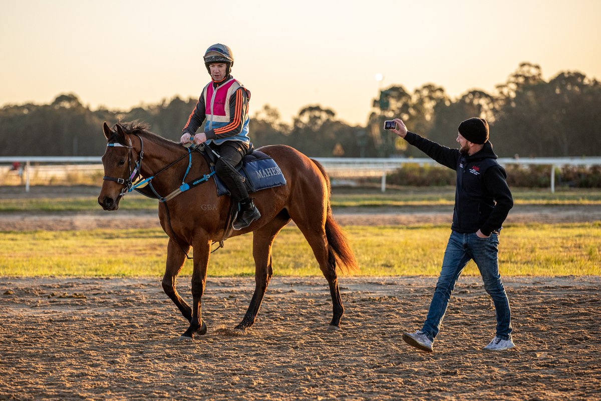 Expect seamless, top-tier communication through Prism Horse Management—an exclusive app offering 24/7 access to your horse's well-being and activities, regardless of your location as a Global Thoroughbreds owner 🏇🇦🇺 

#GlobalThoroughbreds #TakingRacingDownUnder