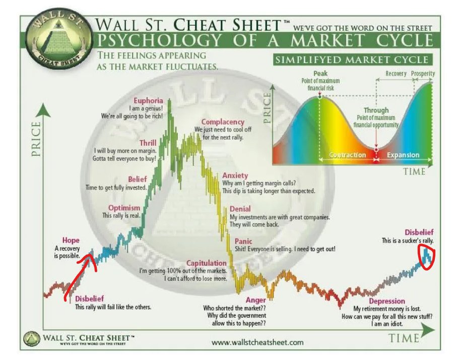 It's remarkable how consistently the market cycle has functioned since the beginning. It's called the Disbelief phase, and it has to happen this way. What's fascinating, however, is that despite the increasing spread of knowledge about the typical market cycle phases, they still