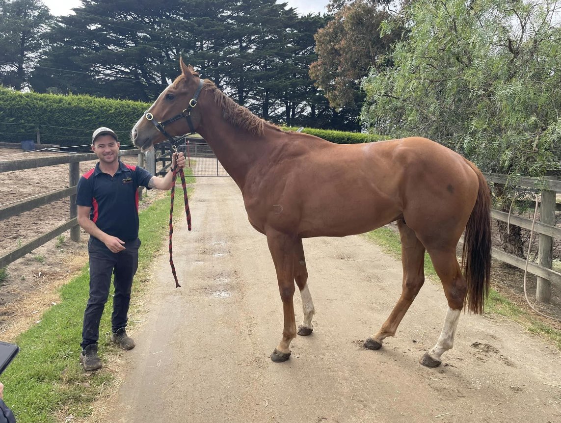 Racing tonight at Cranbourne 

Race 4 at 7:45pm 1200m Maiden 
Gold Aurora (A.McCabe) 59kgs