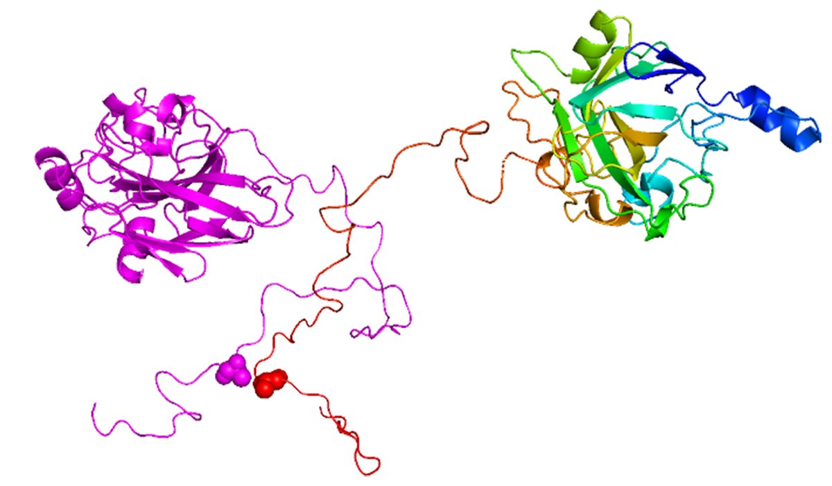 LONGHI Sonia (@longhisonia) on Twitter photo I’m very happy and proud to share our last study on the dimerization of fungal LPMOs
Collab with <a href="/jgberrin/">Jean-Guy Berrin</a> in the frame of @Kettytamburrini PhD funded by IM2B. Congrats!
PNAS pnas.org/doi/10.1073/pn…
@AFMBLab
<a href="/CNRS/">CNRS 🌍</a>
@univamu
<a href="/INRAE_France/">INRAE</a>
<a href="/INRAE_TRANSFORM/">INRAE TRANSFORM FoodBioprodWasteEng</a>
@_3BCAR
<a href="/KbYasuyuki/">Yasuyuki Kubo</a> I’m very happy and proud to share our last study on the dimerization of fungal LPMOs
Collab with <a href="/jgberrin/">Jean-Guy Berrin</a> in the frame of @Kettytamburrini PhD funded by IM2B. Congrats!
PNAS pnas.org/doi/10.1073/pn…
@AFMBLab
<a href="/CNRS/">CNRS 🌍</a>
@univamu
<a href="/INRAE_France/">INRAE</a>
<a href="/INRAE_TRANSFORM/">INRAE TRANSFORM FoodBioprodWasteEng</a>
@_3BCAR
<a href="/KbYasuyuki/">Yasuyuki Kubo</a>