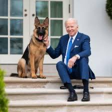 HurQlez's tweet photo. @ProFootbllDemon @DPandemic_Clay @ShaneIsTheWorst @TradesIn5 @CharlesChillFFB If we are stuck with Commanders, then let’s give it the visual identity it is missing. We can use the German Shepherd K9. Top breed used in the services AND the Prez’s dog. 
#K9Command https://t.co/Xzul036jgc
