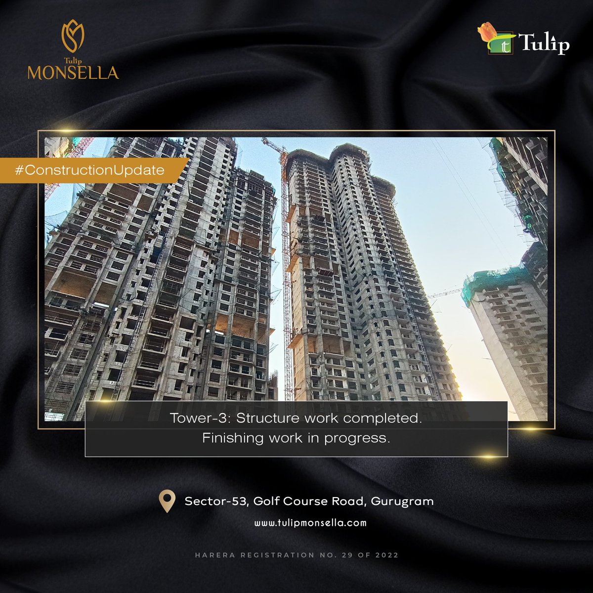 Tulip Group tweet media