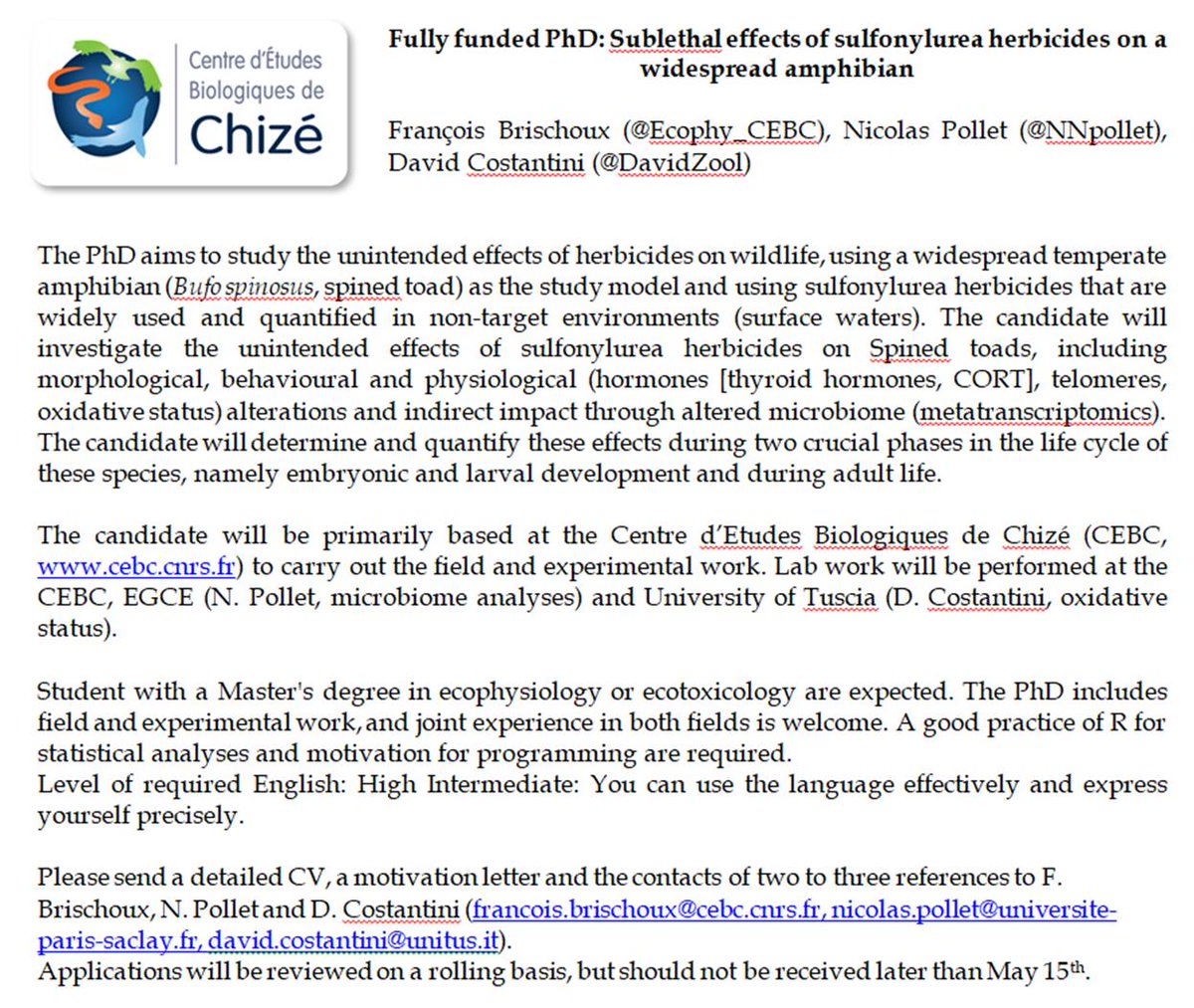 🚨 #PhD 🚨 Fully funded PhD position available to work at @CEBC_ChizeLab on the effects of #herbicides on #amphibians 🐸. Co-supervised by @NNpollet and @DavidZool 🤩. Send an e-mail to François Brischoux for inquiries. Please RT