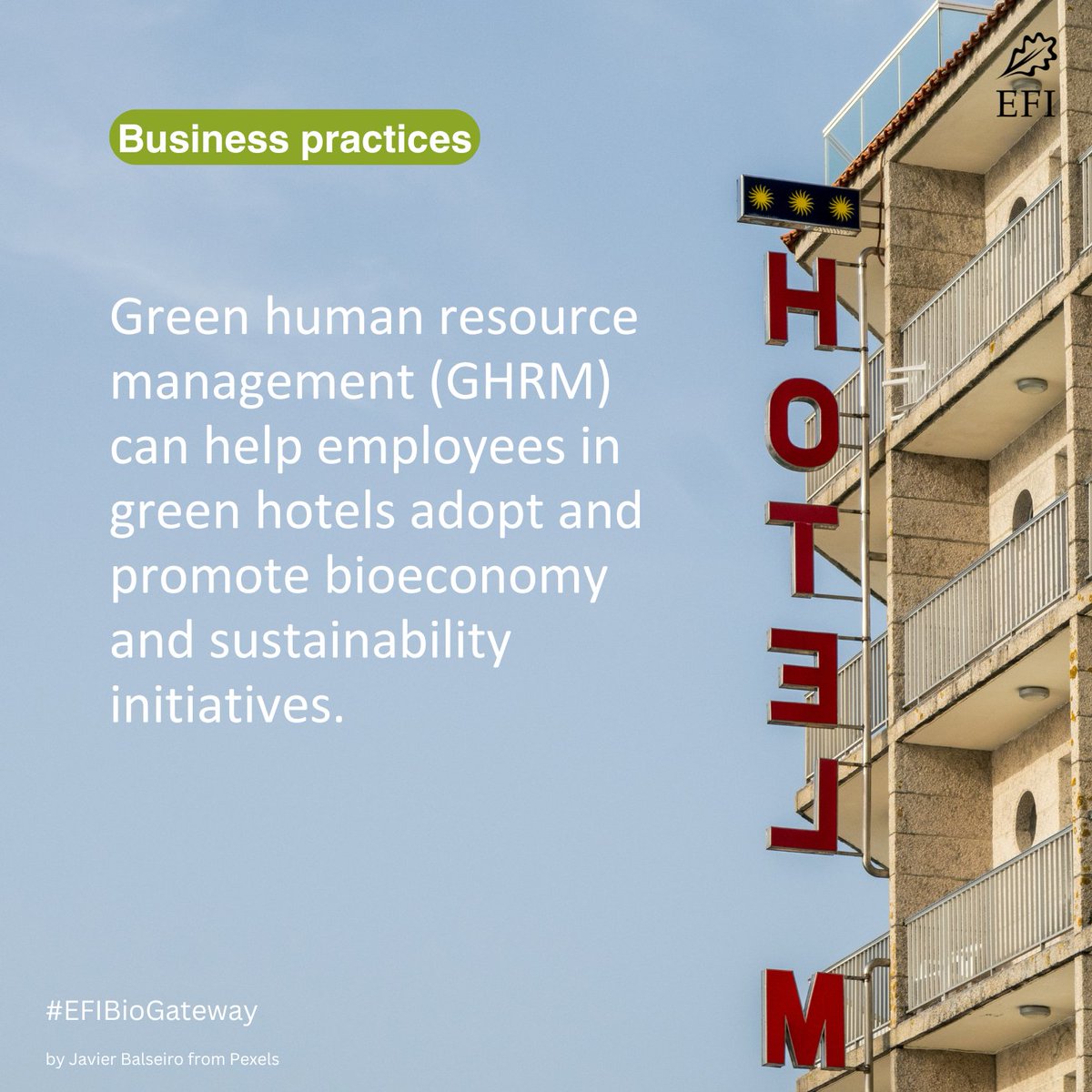 europeanforest's tweet photo. In this edition of the #EFIBioGateway brief, learn more about cellulosic fibre markets, green human resource management, and nanocellulose innovations.
Read all news at https://t.co/Hv8AzRfzFf https://t.co/9eF4h8A6Xt