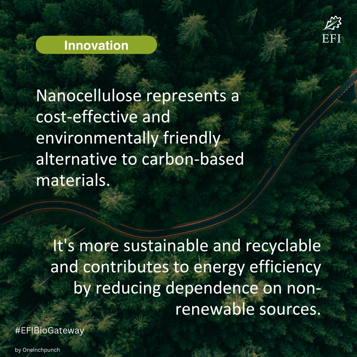europeanforest's tweet photo. In this edition of the #EFIBioGateway brief, learn more about cellulosic fibre markets, green human resource management, and nanocellulose innovations.
Read all news at https://t.co/Hv8AzRfzFf https://t.co/9eF4h8A6Xt