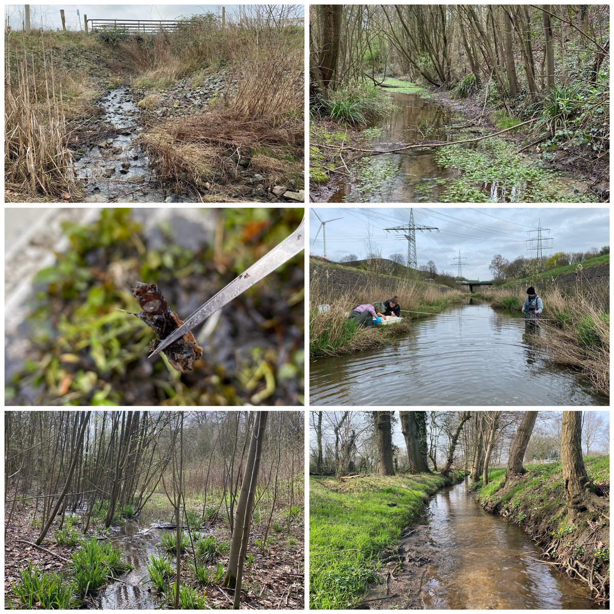SvenjaP93's tweet photo. This week the 4th round of our annual sampling campaign in the Boye catchment for the @RESIST_CRC project commenced. At 20 sites we sampled macroinvertebrates, fungi, sediment and eDNA and measured different abiotic parameters. Hard work but great fun with a great team! https://t.co/8sq9EqLu9U