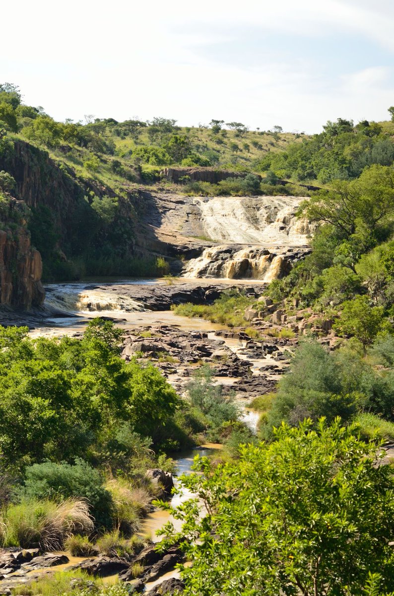 Today, on World Water Day, let's turn our attention to the lifeblood of our planet - water. This precious resource is at the heart of all life, especially here at Nambiti, where rivers and waterholes sustain a diverse array of wildlife and lush landscapes.