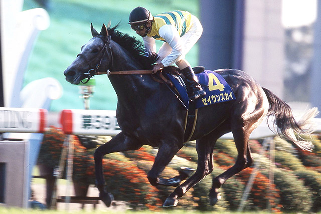 今週日曜は、天皇賞春が京都競馬場で開催されます。1999年のレースでは果敢にハナを切り、3着に粘ったのが今日誕生日の #セイウンスカイ 。1998年の皐月賞と菊花賞を制した二冠馬です。屈腱炎による休養の後、約1年半ぶりに復帰となったのも天皇賞春でこれが引退レースとなりました。