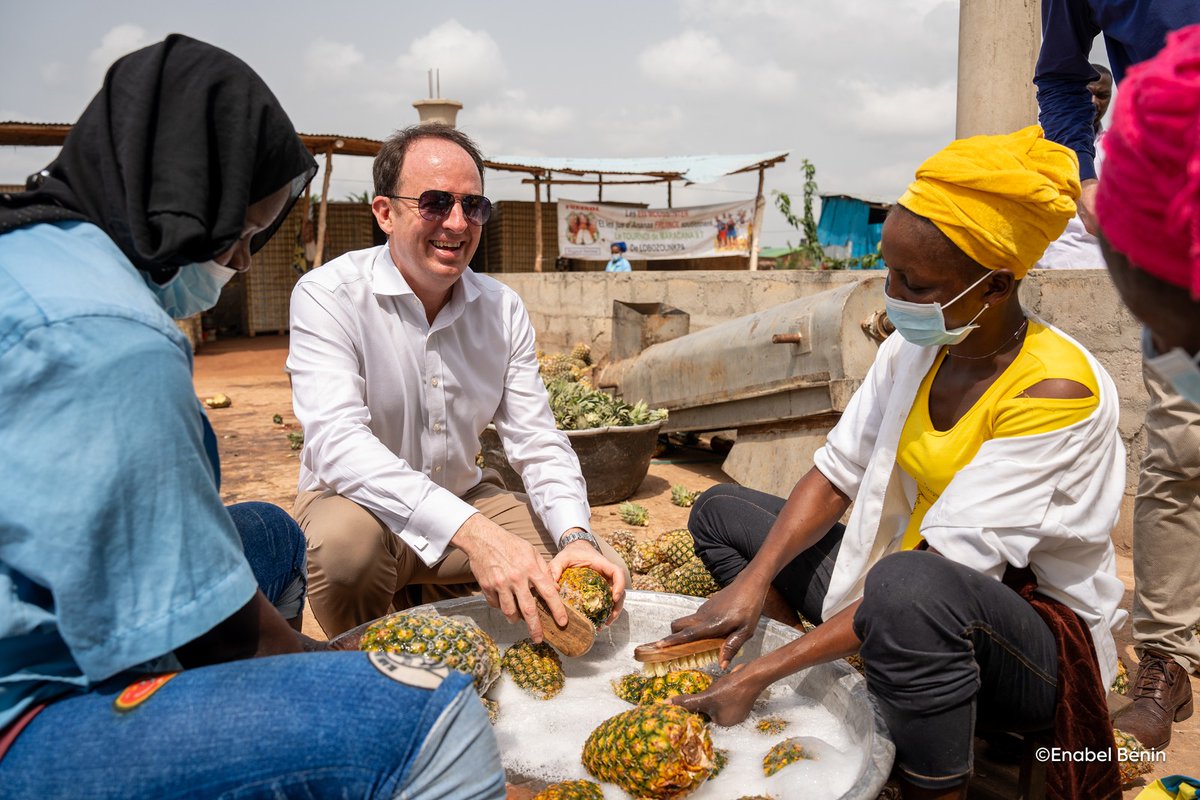 jeanvanwetter's tweet image. Le bonheur se trouve dans les choses simples, comme boire un bon jus d'#ananas. Très heureux de passer la journée d'hier avec les équipes et partenaires de notre programme DEFIA au #Bénin qui a pour but de renforcer de manière durable la compétitivé de la filière ananas.
