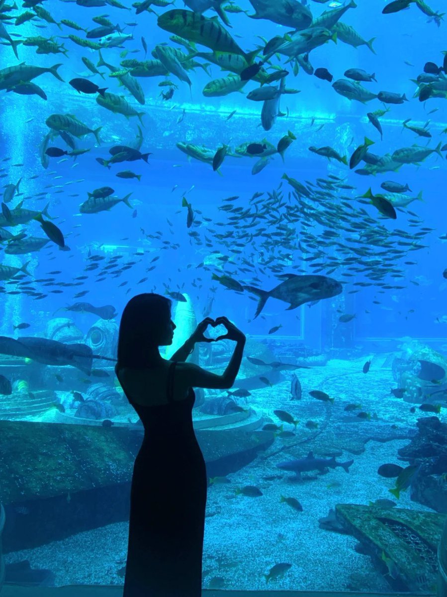 haxigitokiqy's tweet image. The world of blue fairies!💙