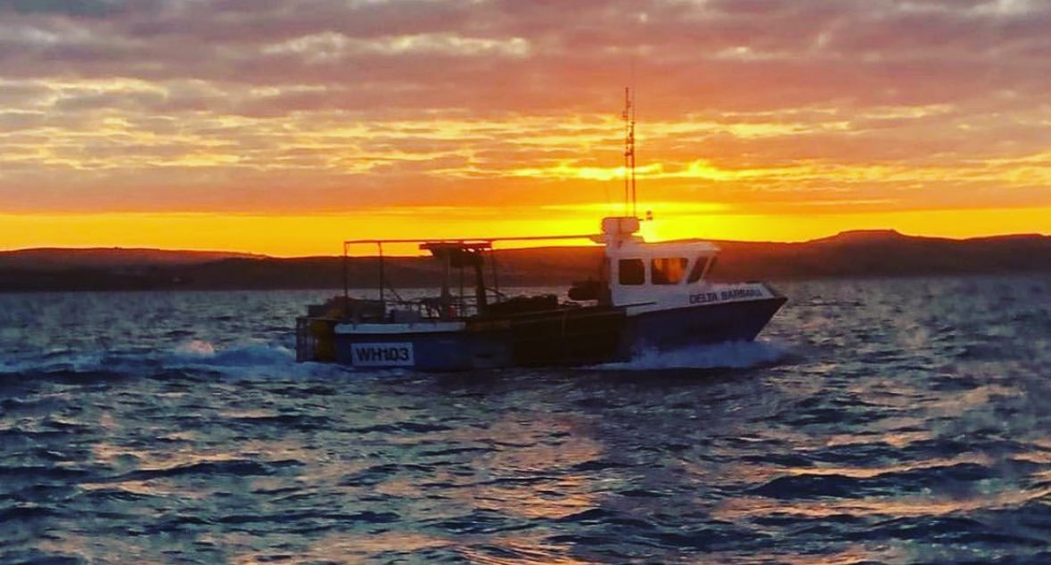 #MeetOurFleet 
This is DELTA BARBARA a 26ft Cygnus fished out of #WestBay by Aubrey Banfield. 
#eatourfish #fishermenled
#grassroots #eatlocal #fishing #lowimpact #seafood #collaboration #cic #coastwiththemost 
To find out more: lbfcic.com/meet-our-fleet/