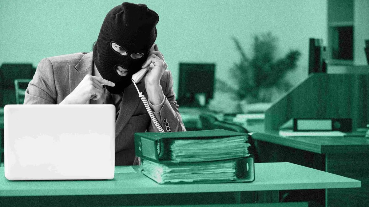 DomainSkate tweet media