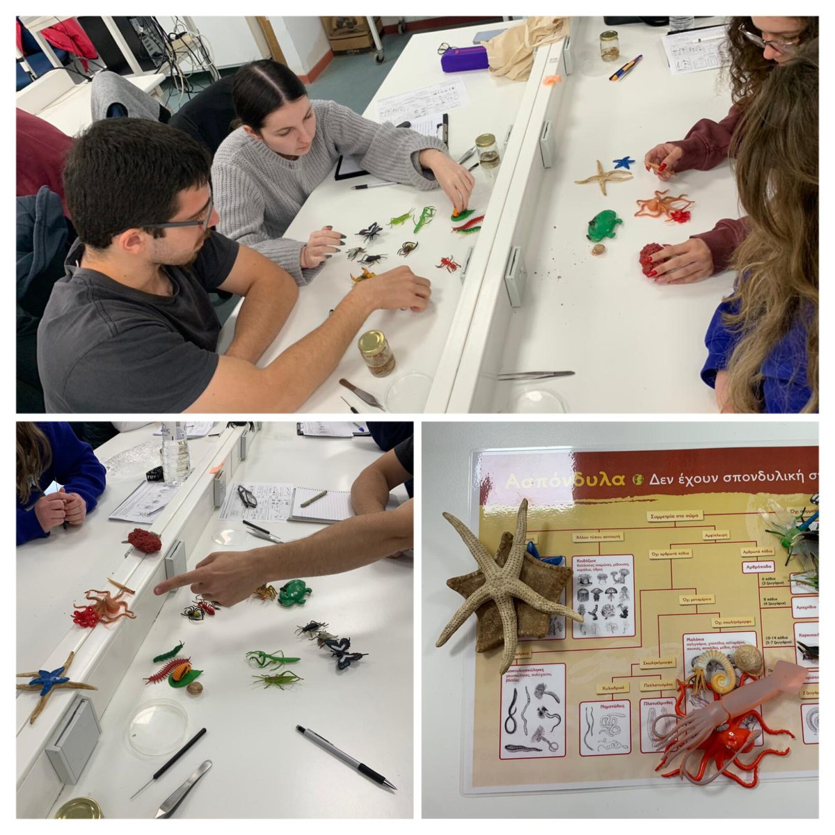 Yesterday WP4 lead, Iasmi Stathi of @nhmcrete talked about #TETTRIsEU and the importance of #taxonomy to students. They grouped plastic animals according to their own criteria and then compared with taxonomic keys for invertebrates. #Teaching the #NextGeneration of #taxonomists