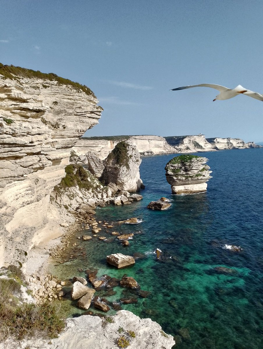 Bonifacio, una destinazione mozzafiato sulla costa meridionale della Corsica. Questo luogo incantevole offre una combinazione perfetta tra natura, storia e panorami spettacolari. Se siete amanti della natura, Bonifacio è il posto perfetti Qui l'eveil des sens è garantito!