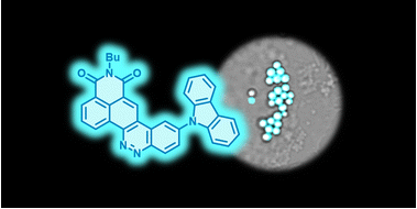 e_tacke's tweet image. For #FluorescenceFriday, take a look on our second paper with @AChevalier18 published in @OrgBiomolChem ! 🍾✨🥳
Let the CinNapht shine bright ! 🌈☀️
pubs.rsc.org/en/content/art…
@ICSN_lab @UnivParisSaclay
#ChemTwitter #phdlife