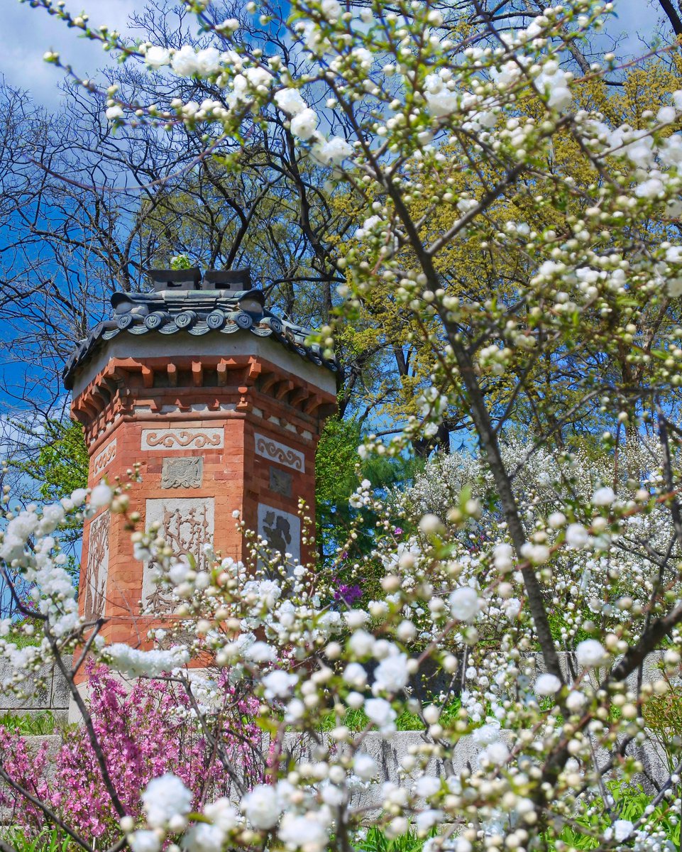 어제는 낮과 밤의 길이, 더위와 추위가 같다고 알려진 춘분입니다.
춘분을 기점으로 날씨는 더욱 따스해겠지요.

곧 따스한 날들이 찾아온다는 들뜸에
아직은 피지 않은 꽃들을 미리 보여드립니다.

©APC