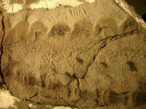 Lewis LaRosa tweet media