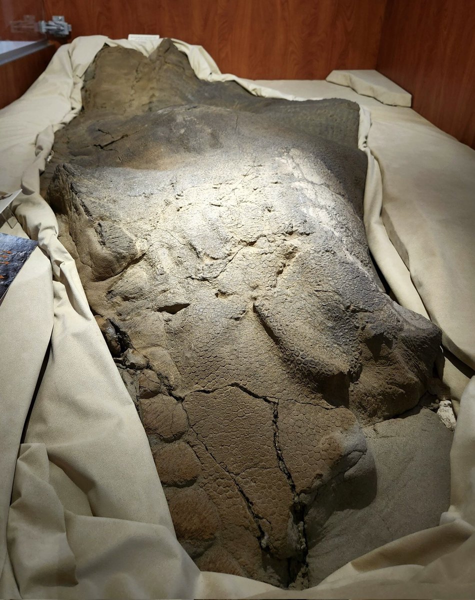 Lewis LaRosa tweet media