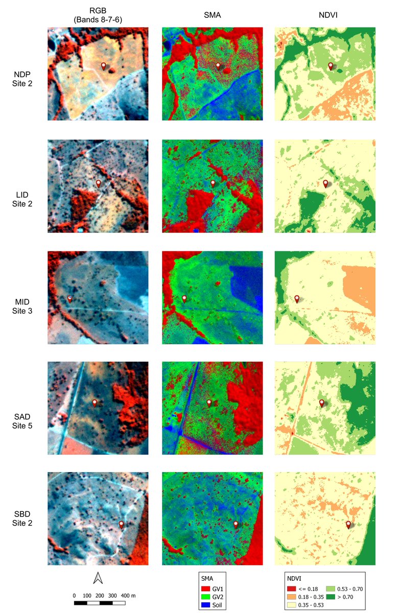 Defesa Dissertação (PGSER) - ANGELA GABRIELLY PIRES SILVA - “Discrimination degraded pastures in the Braz. Cerrado using the SuperDove satellite const.' Em 27/03 (qua-f.) às 14h, online (p/ partic. contacte Angela ou a banca). Lênio Galvão, Laerte Jr, orients. #PGSER_INPE