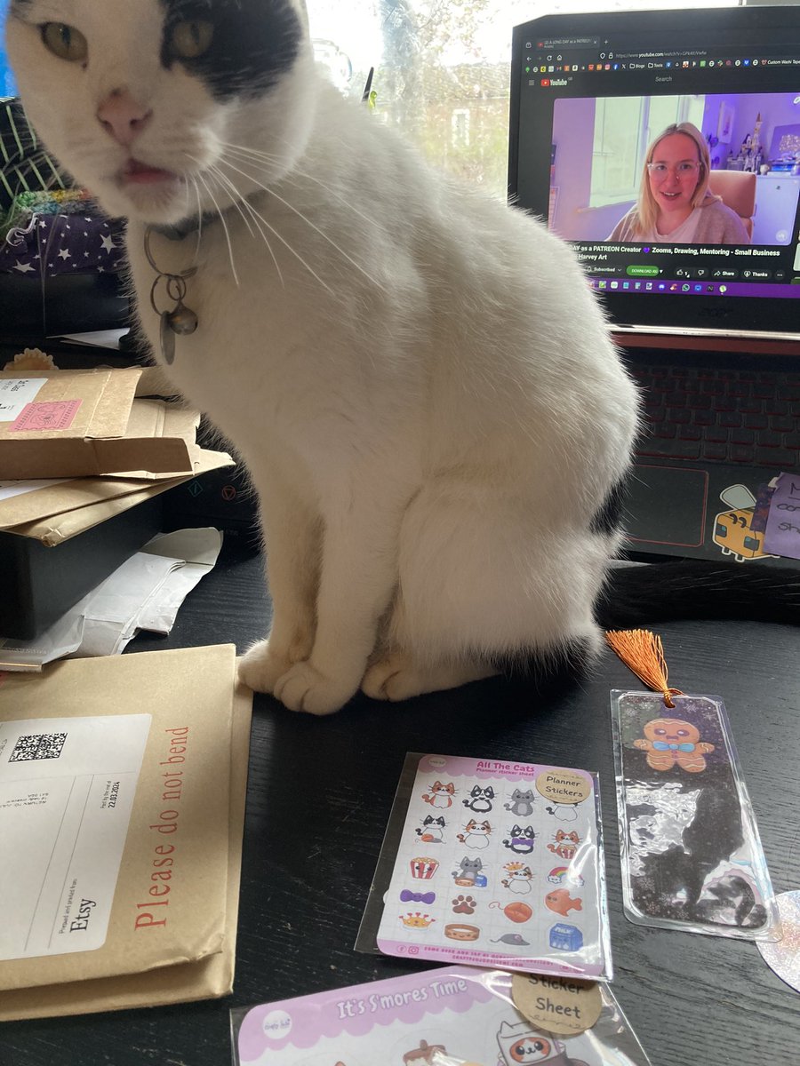 Jasper is helping me sort my happy mail from @craftyjujudesigns while we watch @emilyharveyart vlog. 

#CatsOfInstagram #SmallBusiness #HappyMail