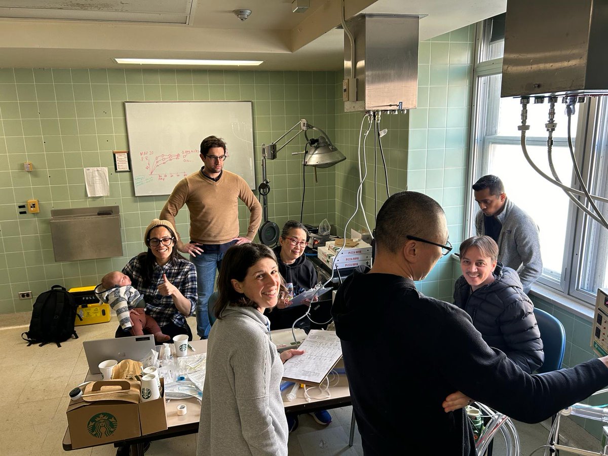 Mika Nonoyama tweet media