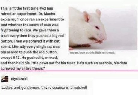 venuslovesrats's tweet image. Asshole Lab Rat Really Screwing With Scientific Study